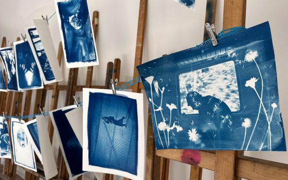 A display of cyantopes hanging against easels. 