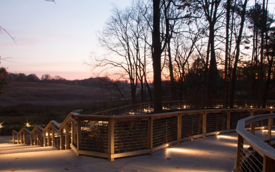 The Meadow Garden overlook, at dusk, featuring a boardwalk overlooking the vista of the garden.