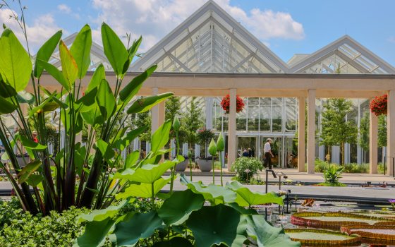 Waterlily pools in foreground with conservatory structure in background.
