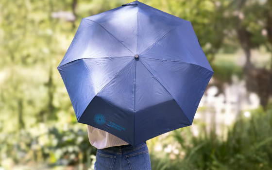 Longwood umbrella