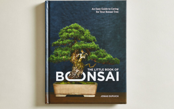 Little Book of Bonsai