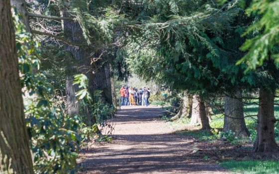 A mulched pathway, with large trees lining each side. At the end is a group of people. 