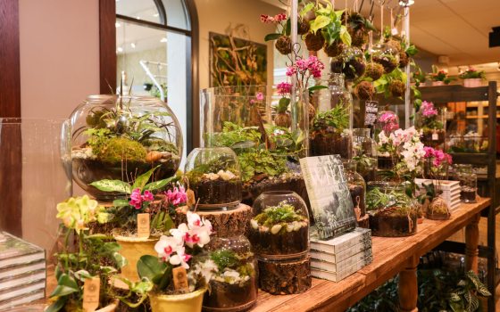 Spring Garden Shop