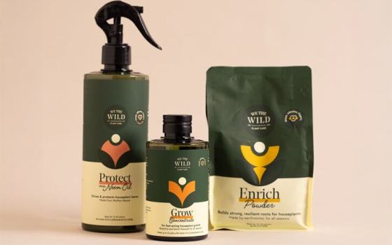 We The Wild Plant Care