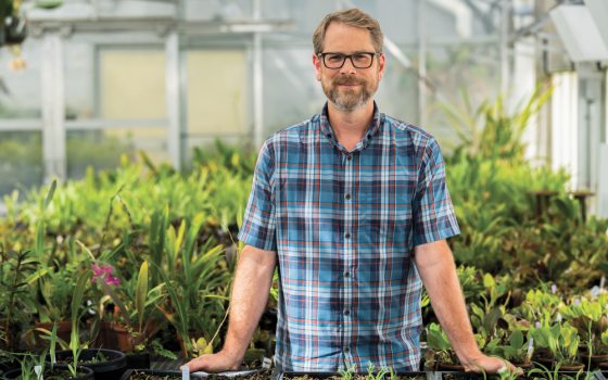 A man with blonde hair wearing a plaid shirt poses in a greenhouse. 