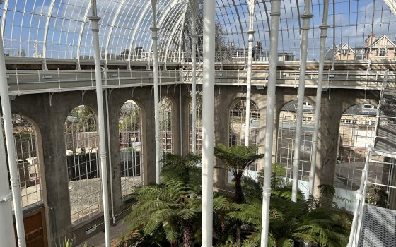 A high-angle view looking down into a large glass conservatory from an upper metal catwalk. The architecture features a soaring white grid-patterned glass roof and tall concrete walls lined with massive arched windows. Lush green tree ferns and palms grow thickly across the ground level below.