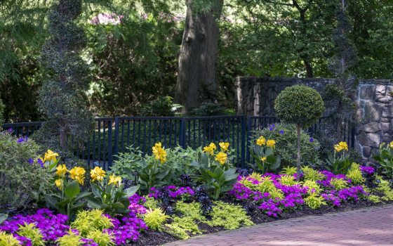 A brick patio, featuring a garden along the edge with purple and yellow flowers. 