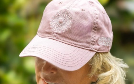 Dusty Rose Cap