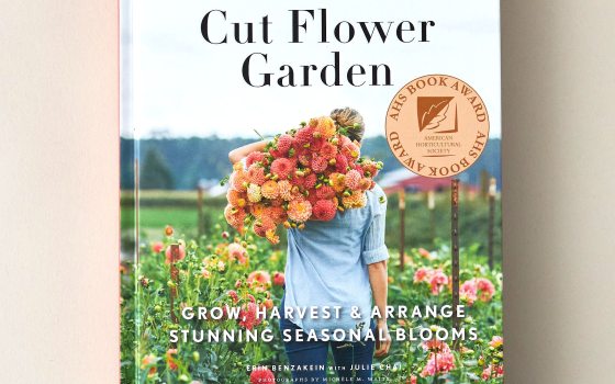 Cut Flower Garden