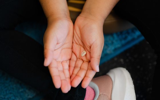 A pair of cupped hands holding a single, small, light-colored seed, shown from a top-down perspective during a children's activity.