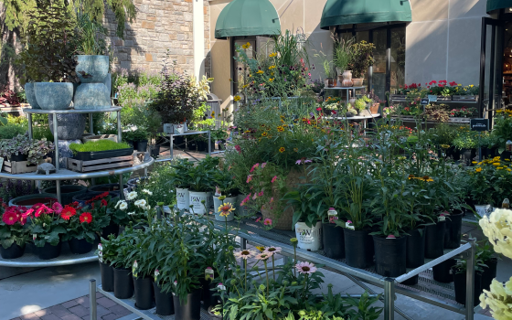 Garden Shop Patio