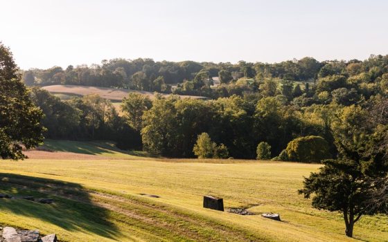 A wide angle vista of a large open green space, wtih rolling hills and large trees in the background. 