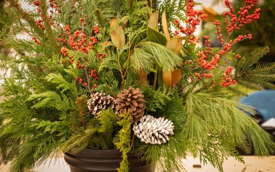 A floral arrangement featuring evergreen branches, pinecones, and red berry branches.