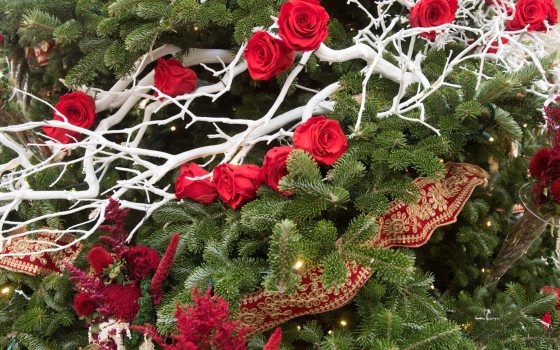 A close up of a Christmas tree decorated with red flowers, ribbon, and white branches.