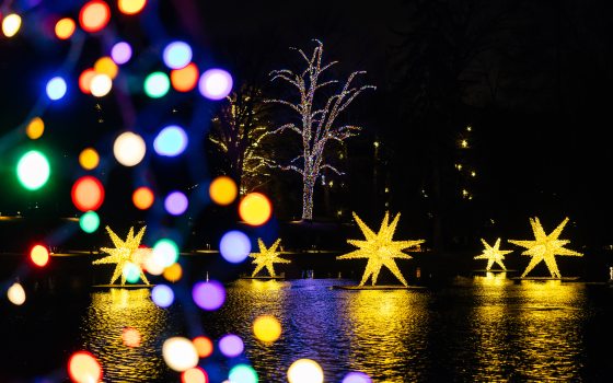 A nighttime scene of large lit star-forms floating on a lake with a tree decked out in multi-colored lights is seen through glowing multi-colored string lights. in the back ground 