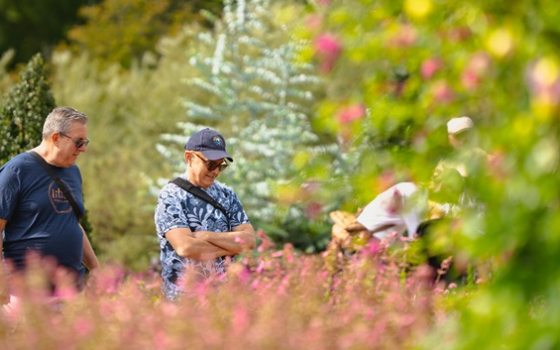 Two people in a garden setting admiring lush summer flowers.