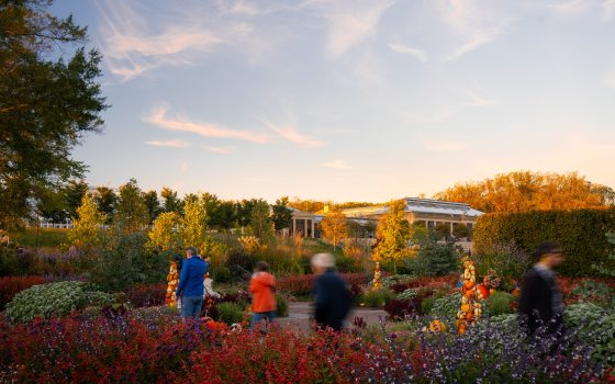 An autumn landscape, with people walking through a late summer garden. 
