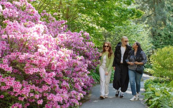 Three friends, smiling and laughing, on a paved path in a garden setting. 