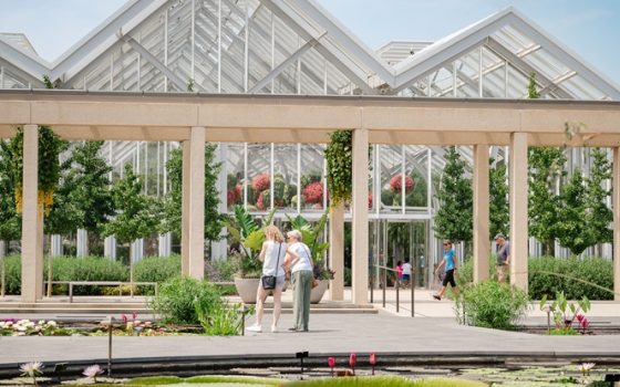 The waterlily courtyard at Longwood Gardens, in summer time. 
