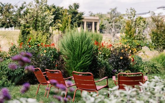 Four empty copper colored chairs arranged in a line in a lush garden.