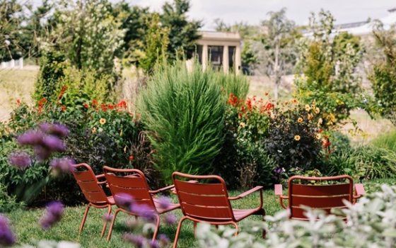 Four empty copper colored chairs arranged in a line in a lush garden.