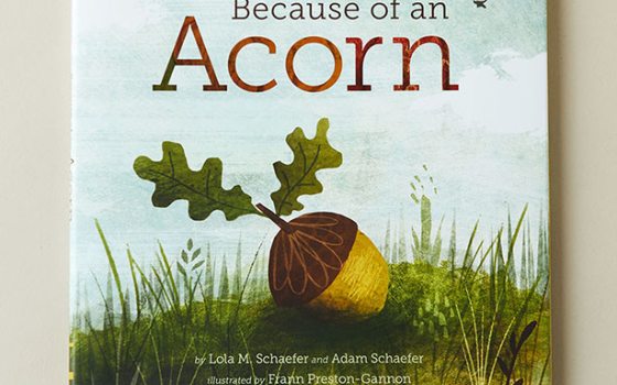 Because of an Acorn