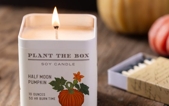 Pumpkin Candle