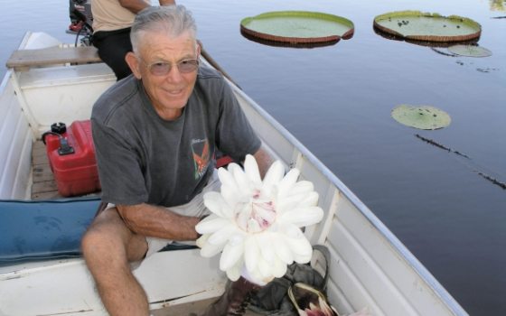 a man in a boat holding a large, white waterlily 
