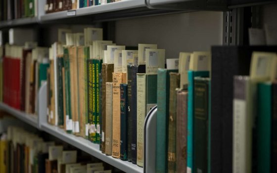 a row of books in various sizes and colors placed on a library shelf
