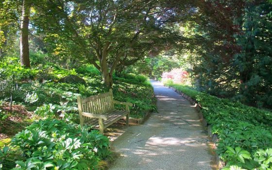 outdoor garden walkway path with bench at Longwood Gardens
