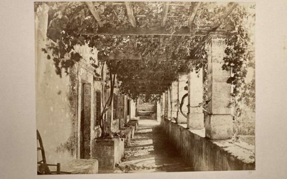 a black and white photo of a stone walkway with plants growing along the walls and roof