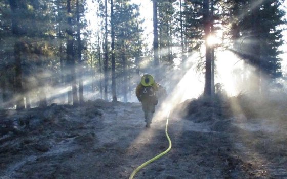 image of a Longwood crew member walking away from a cleared forest fire area