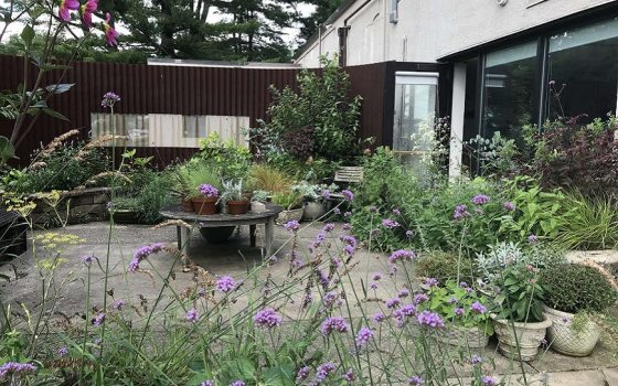 Patio surrounded by flower beds and filled with container plantings with mostly green textured plants and some small purple blooms