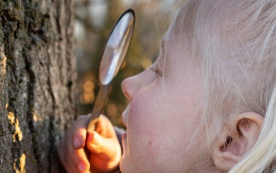 closeup of child using a magnifying glass to look at the bark of a tree