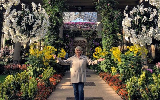 Orchid Extravaganza” at Longwood Gardens | Longwood Gardens