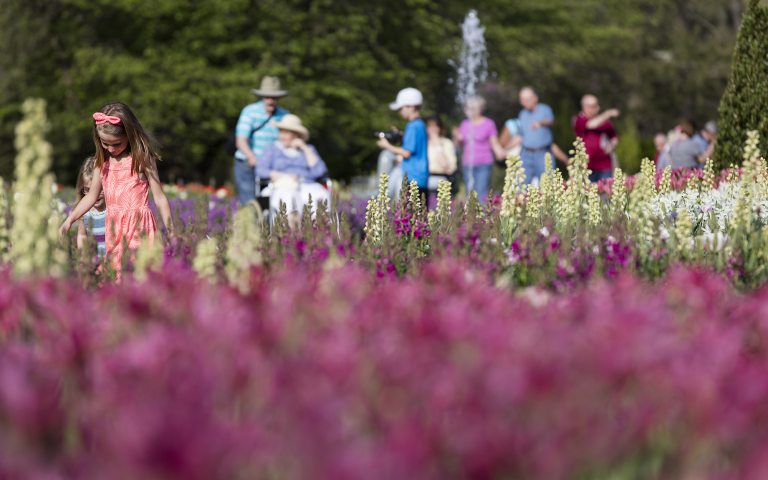 Membership Policies & FAQs | Longwood Gardens