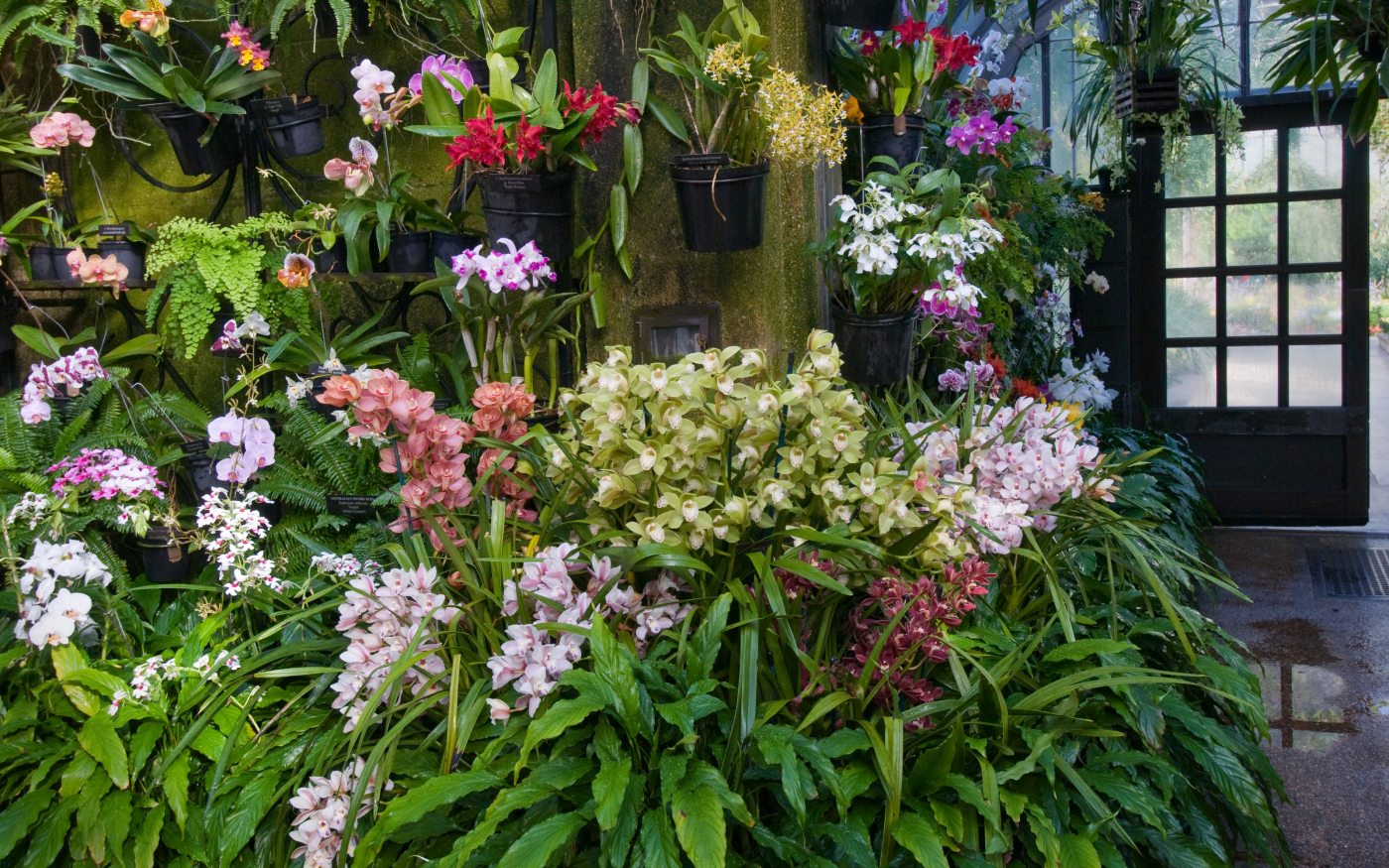 Specimens of Beauty Longwood Gardens
