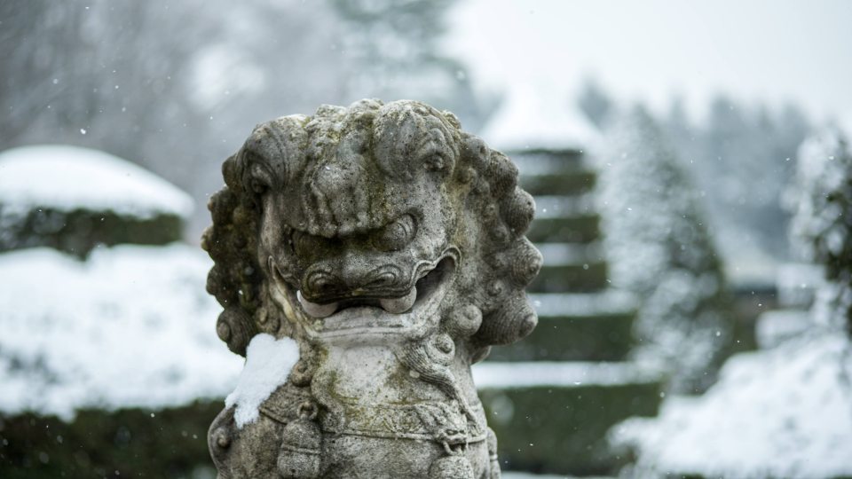 A grey stone foo dog sculpture sits in front green topiary covered in white snow