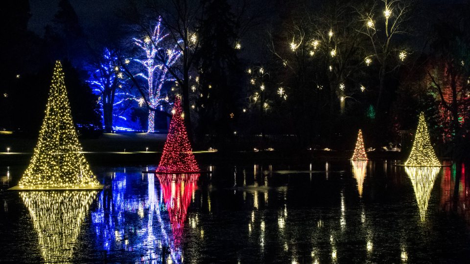 Tree-like structures made entirely of colored Christmas lights float and are reflected by a small lake at night