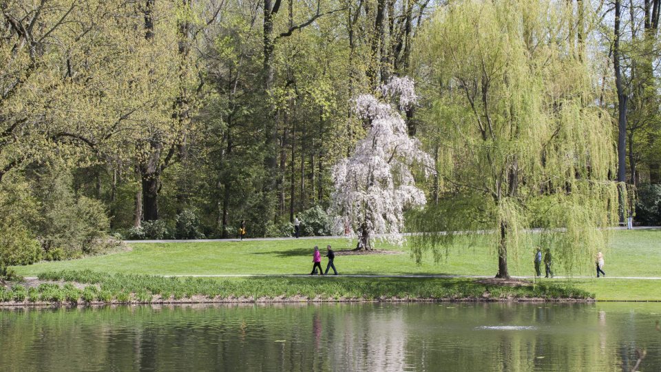 Two people walk alongside a large lake in spring with blooming trees in the background