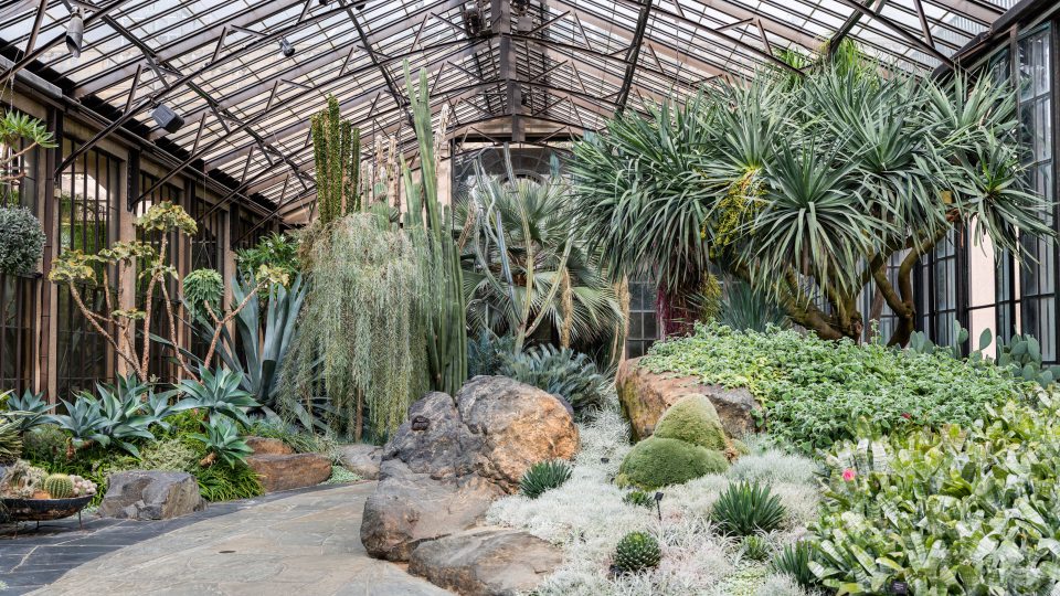 A stone pathway leads the way through a garden of green succulents, desert plants, agaves, and cactuses in the Silver Garden in a glass conservatory