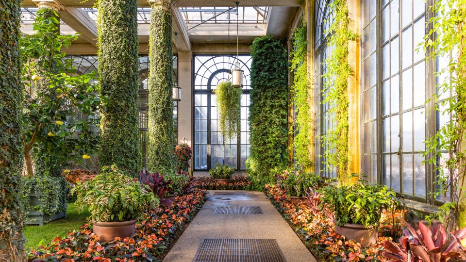 A stone walkway leads between two garden beds of red and green plants with a green hanging backset and curved window in the distance, all under a glass conservatory