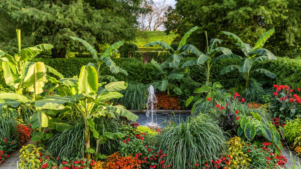 Large green plants stand tall over colorful red and orange flower beds and a square fountain