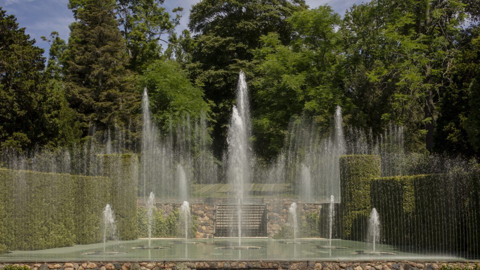 symmetrical fountain jets in front of a green backdrop of trees