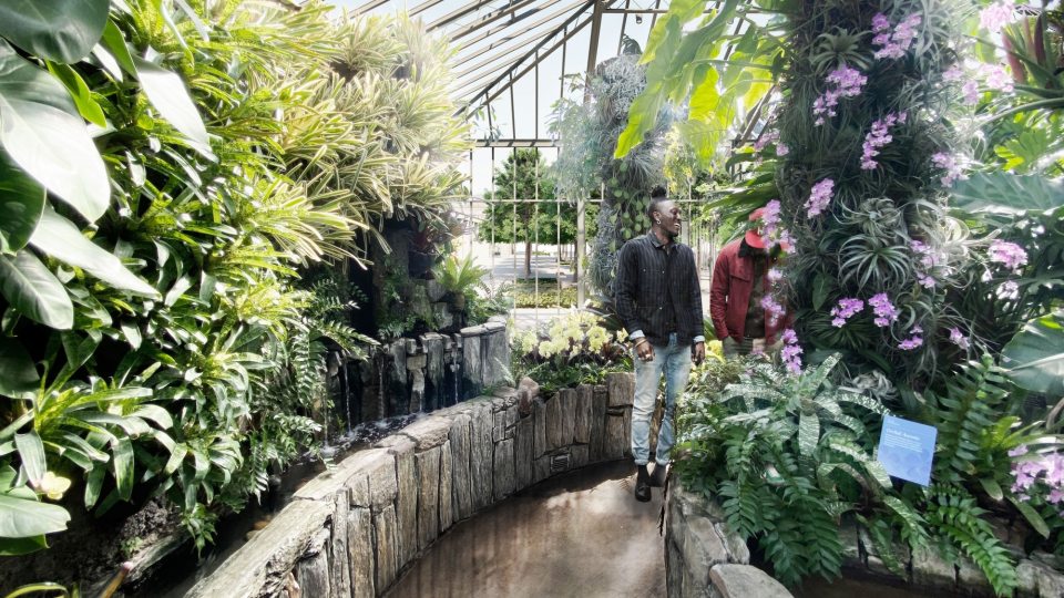 Two people on a curving path bordered by stone walls in a tropical indoor garden, graced by colorful blooms, air plants, bromeliads, and waterfalls.