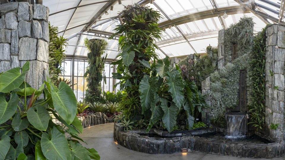 A winding path cuts through a glasshouse filled with bold tropical leaves, finely textured glaucous plants, and columns of stone and plantings.