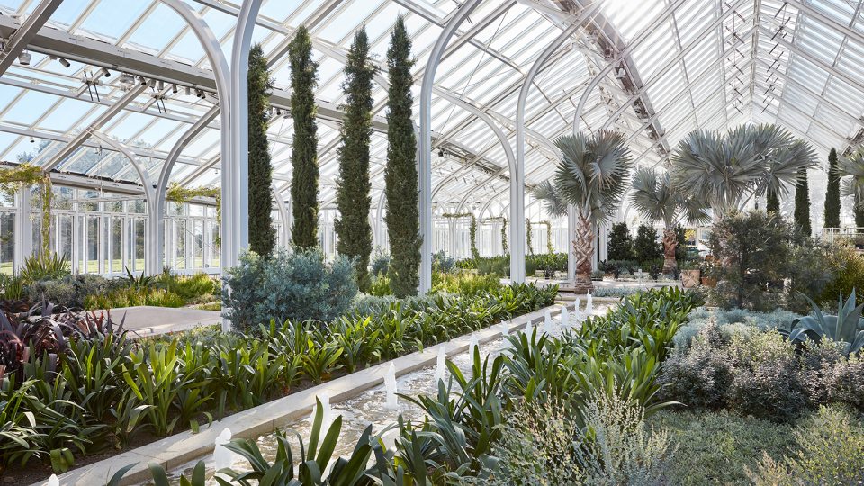Cypress and Bismarkia trees rise above low planting beds and a central runnel