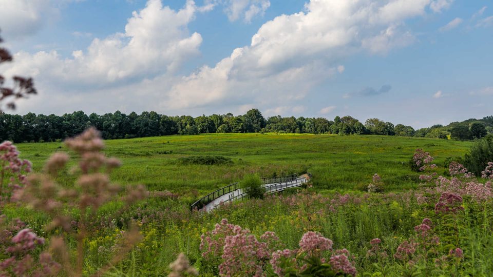 a curving bridge punctuates a large grassy meadow under a blue sky