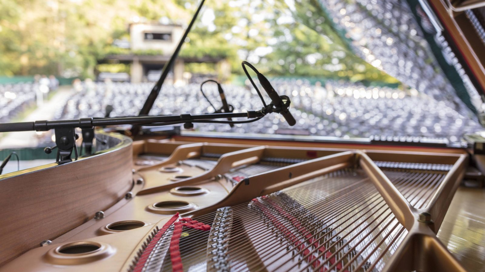 Music, Performances & Theater Longwood Gardens