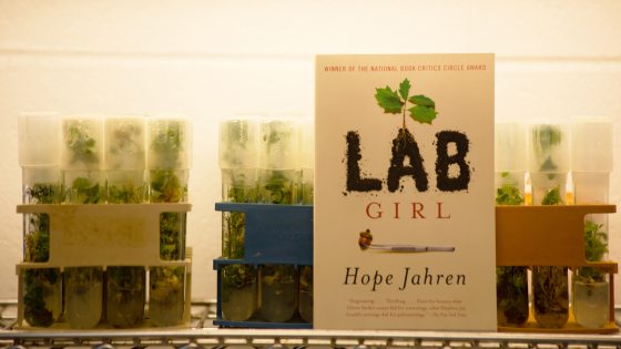 book propped up against growing seedlings in test tubes